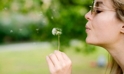 close-up-girl-blowing-dandelion_23-2148601534