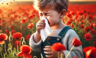 2c2cc75b-e4b7-49ee-90ba-71d5071fdc71 2c2cc75b-e4b7-49ee-90ba-71d5071fdc71