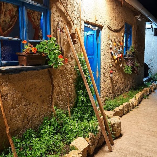 سفر به آرامش، تور طبیعت درمانی و گیاه شناسی به ساری